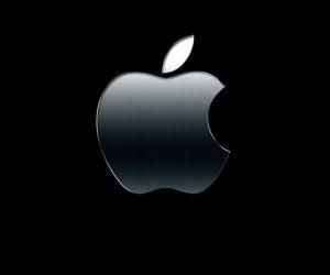 apple teknik servis